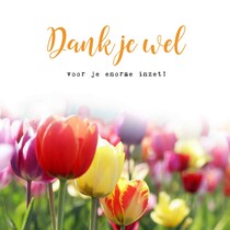 Dankjewel voor je enorme inzet Bedankkaart