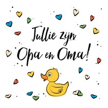 Jullie zijn opa en oma!