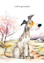 Lieve groetjes Beterschapskaart