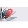 Bloem