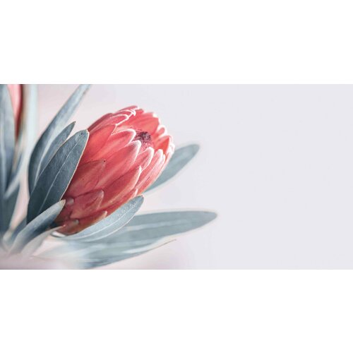 Bloem