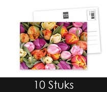 Tulpen Blancokaart