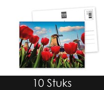 Tulpen en molen Blancokaart