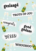 Geslaagd, trots op jou, goed gedaan Geslaagd kaart