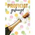 Proficiat geslaagd Geslaagd kaart