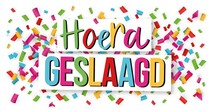 Hoera geslaagd Geslaagd kaart