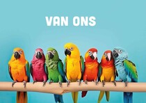 Van ons - Denken aan kaart