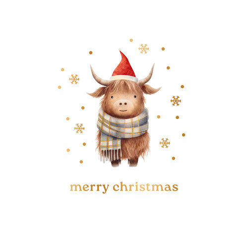 Merry christmas