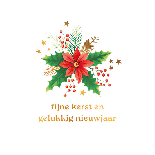 Fijne kerst en gelukkig nieuwjaar