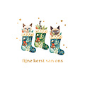 Fijne kerst van ons