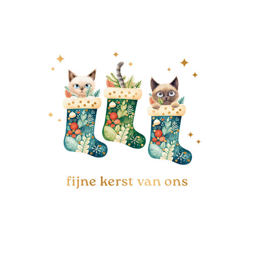 Fijne kerst van ons