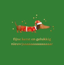 Fijne kerst en gelukkig nieuwjaaaar