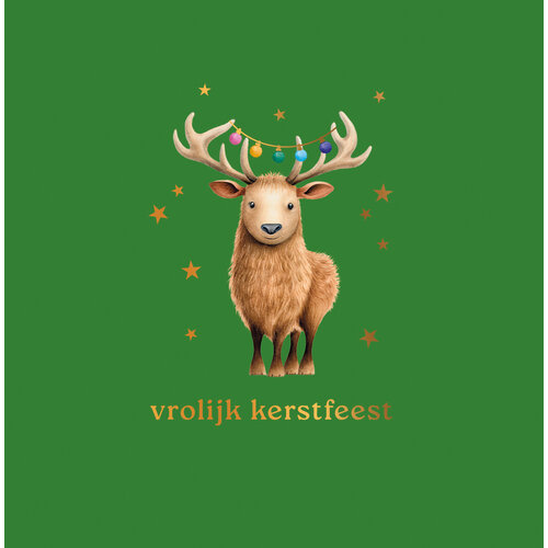 Vrolijk kerstfeest