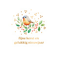 Fijne kerst en gelukkig nieuwjaar