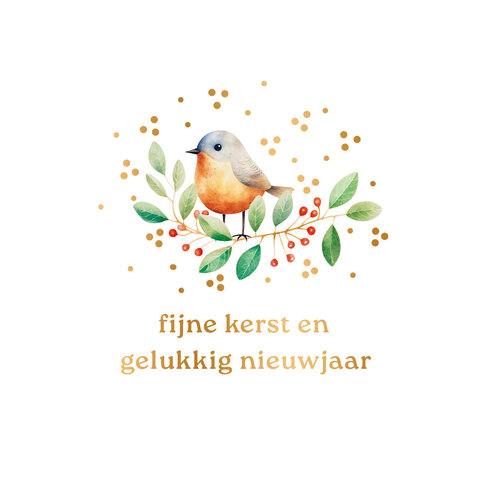 Fijne kerst en gelukkig nieuwjaar