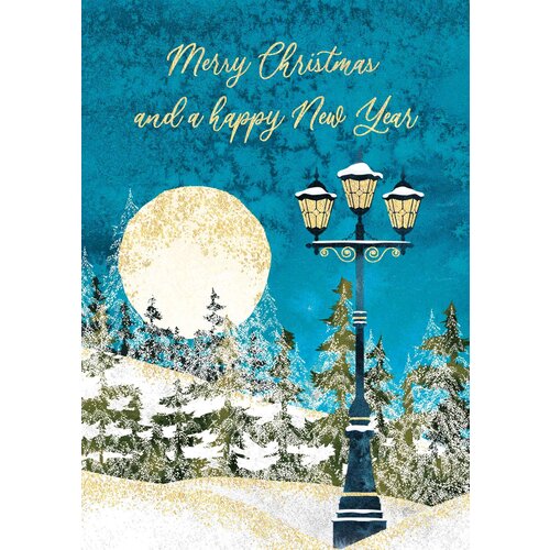 Merry christmas and a happy new year Kerstkaart