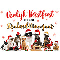 Vrolijk kerstfeest en een stralend nieuwjaar
