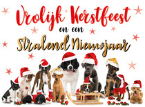 Vrolijk kerstfeest en een stralend nieuwjaar