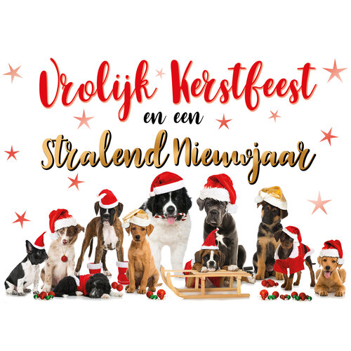 Vrolijk kerstfeest en een stralend nieuwjaar