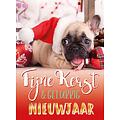 Fijne kerst & gelukkig nieuwjaar