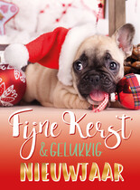 Fijne kerst & gelukkig nieuwjaar