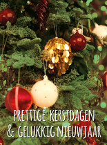 Prettige kerstdagen & gelukkig nieuwjaar