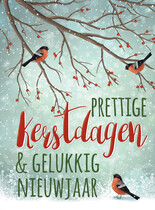 Prettige kerstdagen & gelukkig nieuwjaar
