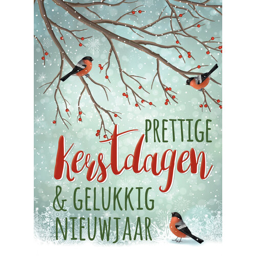 Prettige kerstdagen & gelukkig nieuwjaar
