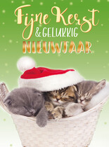 Fijne kerst & gelukkig nieuwjaar