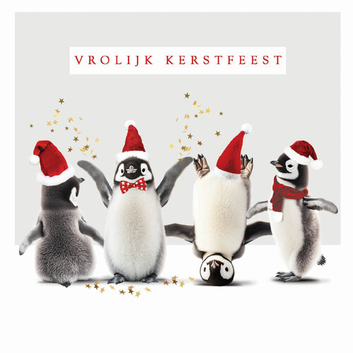 Vrolijk kerstfeest