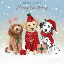 We wish you a merry christmas