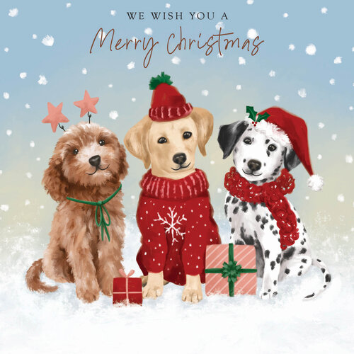 We wish you a merry christmas