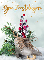 Fijne feestdagen