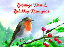 Gezellige kerst & gelukkig nieuwjaar
