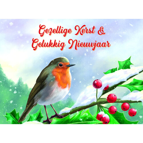 Gezellige kerst & gelukkig nieuwjaar
