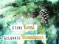 Fijne kerst & gelukkig nieuwjaar