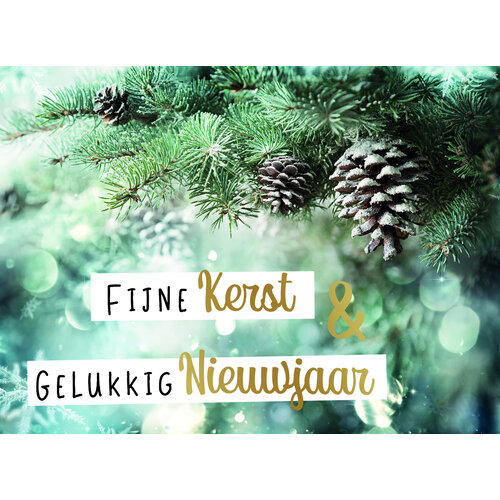 Fijne kerst & gelukkig nieuwjaar