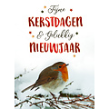 Fijne kerstdagen & gelukkig nieuwjaar