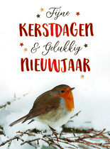 Fijne kerstdagen & gelukkig nieuwjaar