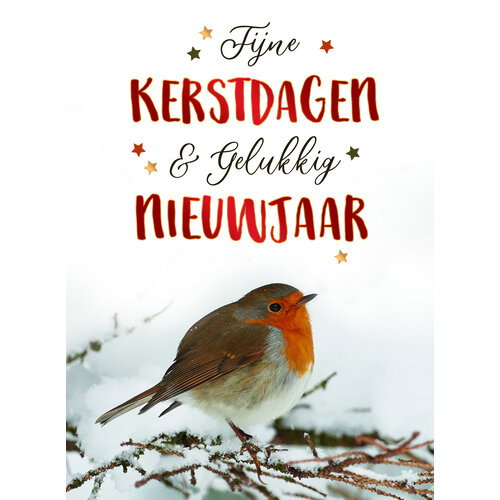 Fijne kerstdagen & gelukkig nieuwjaar