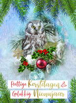Prettige kerstdagen & gelukkig nieuwjaar