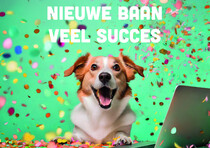 Nieuwe baan veel succes