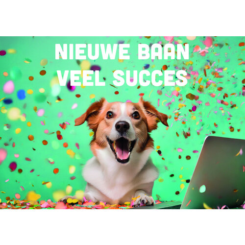Nieuwe baan veel succes