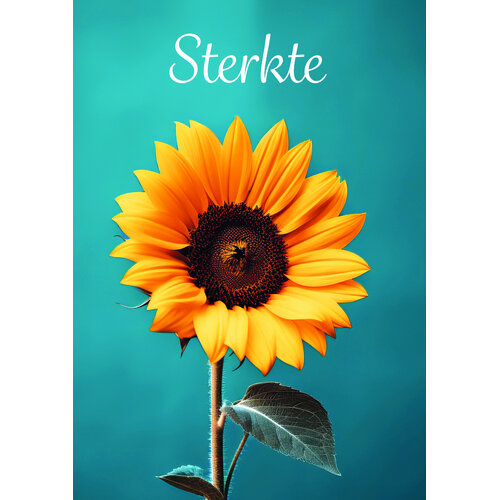 Sterkte