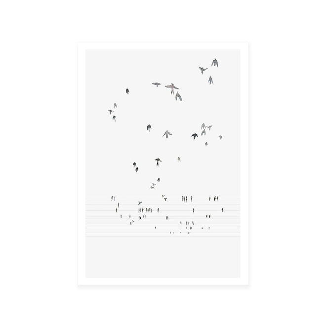 Art print | Swallows