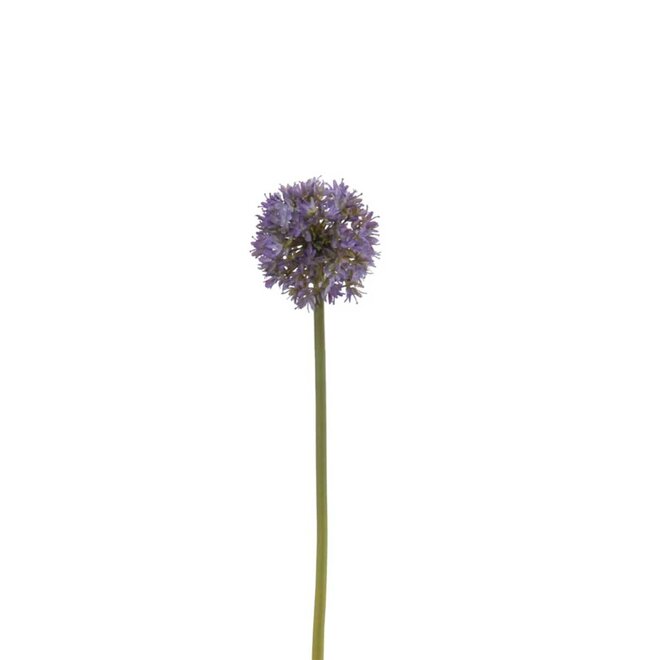 Wax Flower 71 cm