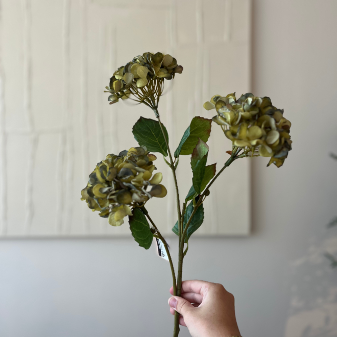 Zijde Hortensia | green