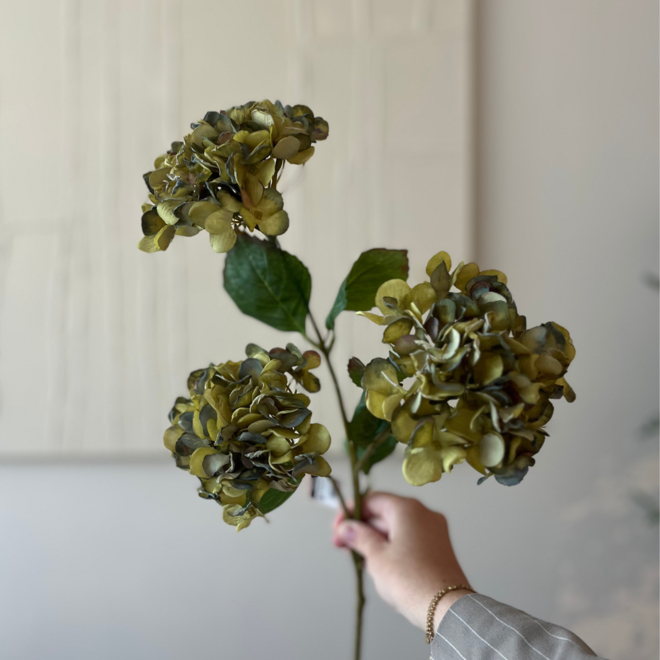 Zijde Hortensia | green