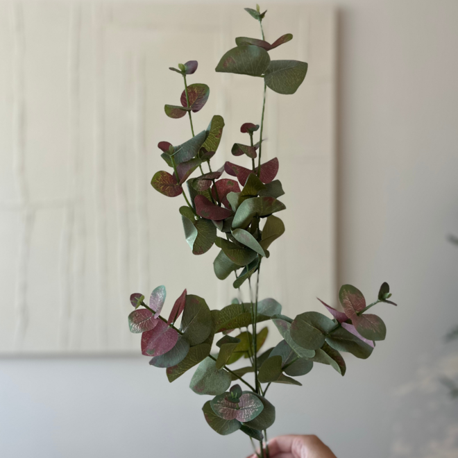 Zijden Eucalypthus