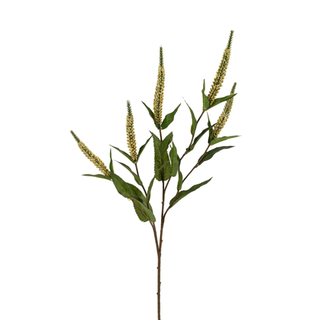 Zijde Veronica | geel | 70 cm